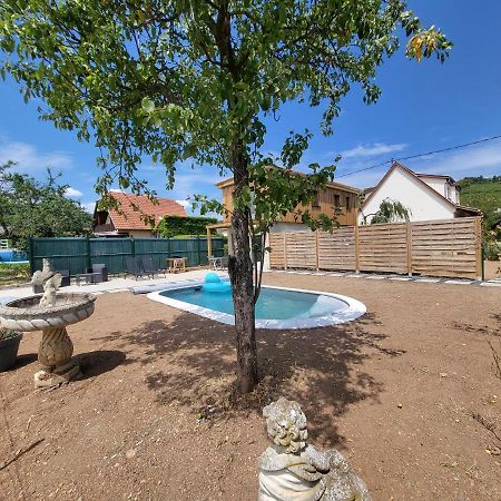 Au Coeur Des Vignes Apartment Bergheim Luaran gambar