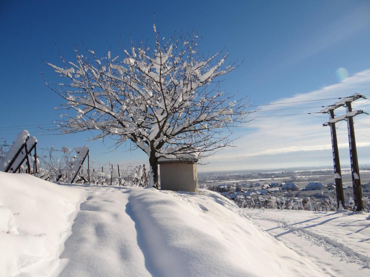 Au Coeur Des Vignes Apartment Bergheim Luaran gambar