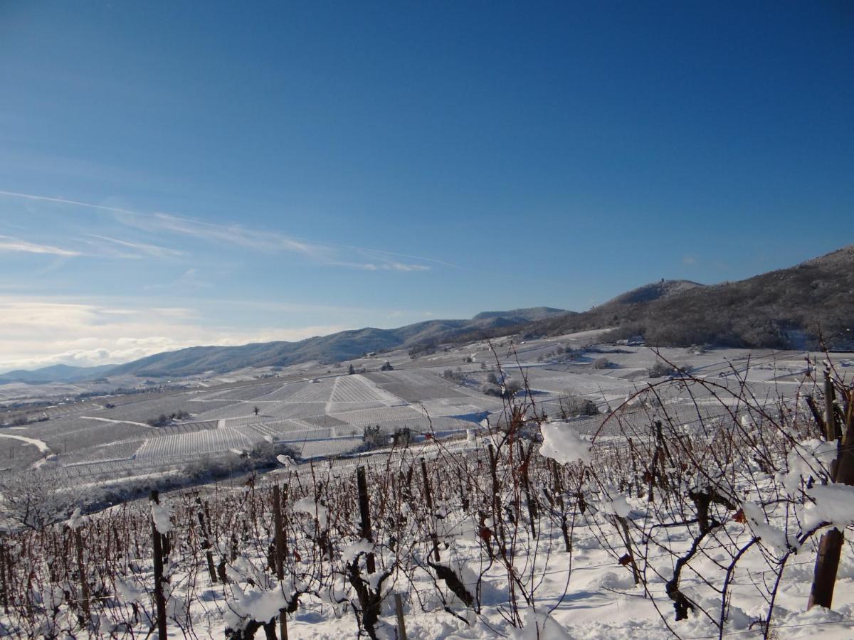 Au Coeur Des Vignes Apartment Bergheim Luaran gambar