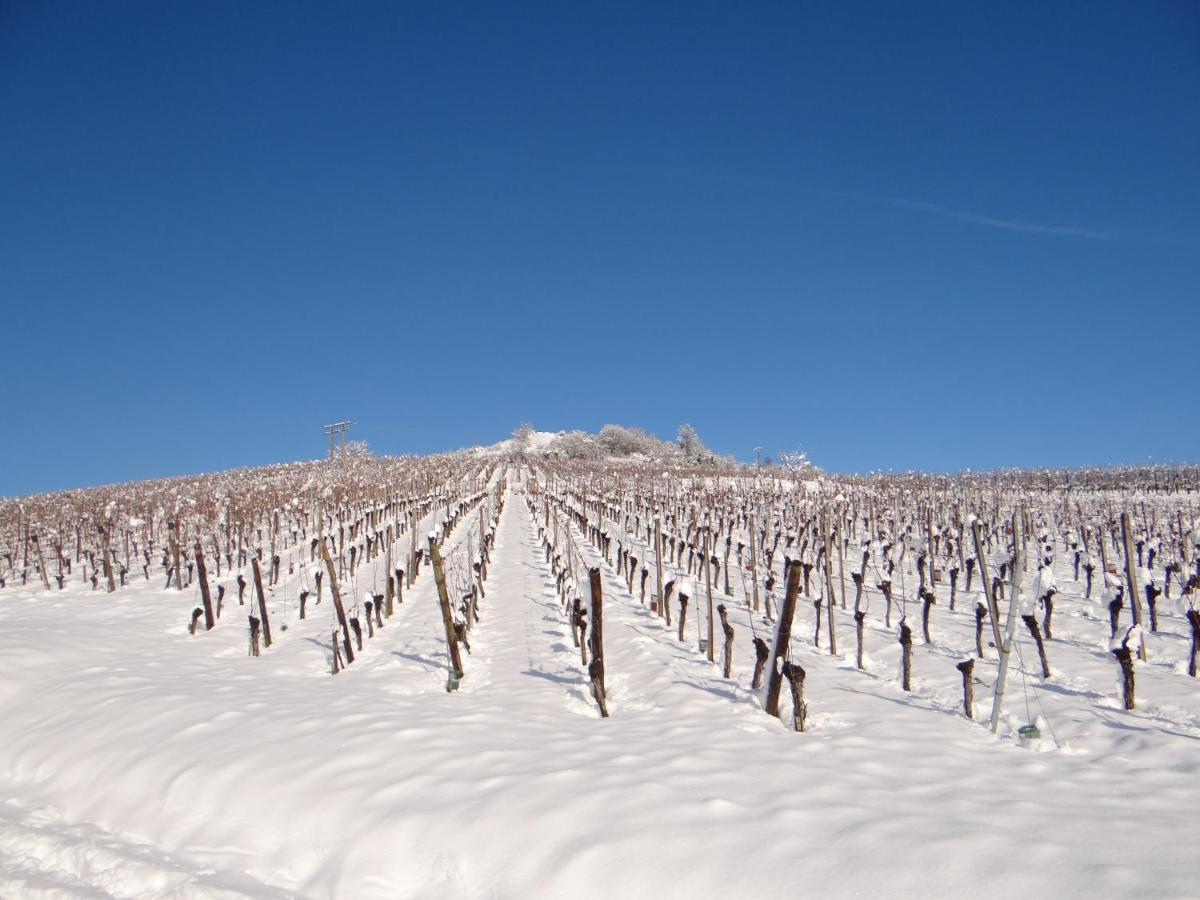 Au Coeur Des Vignes Apartment Bergheim Luaran gambar