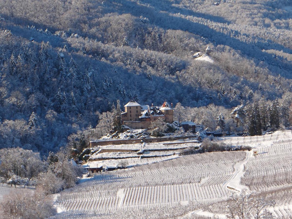 Au Coeur Des Vignes Apartment Bergheim Luaran gambar