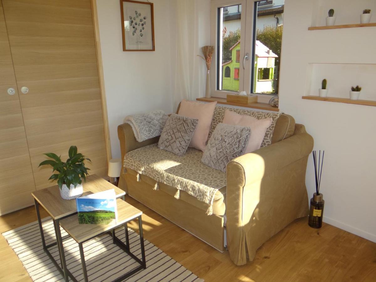Au Coeur Des Vignes Apartment Bergheim Luaran gambar