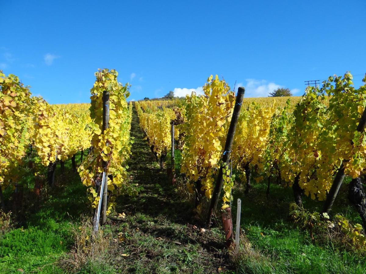 Au Coeur Des Vignes Apartment Bergheim Luaran gambar