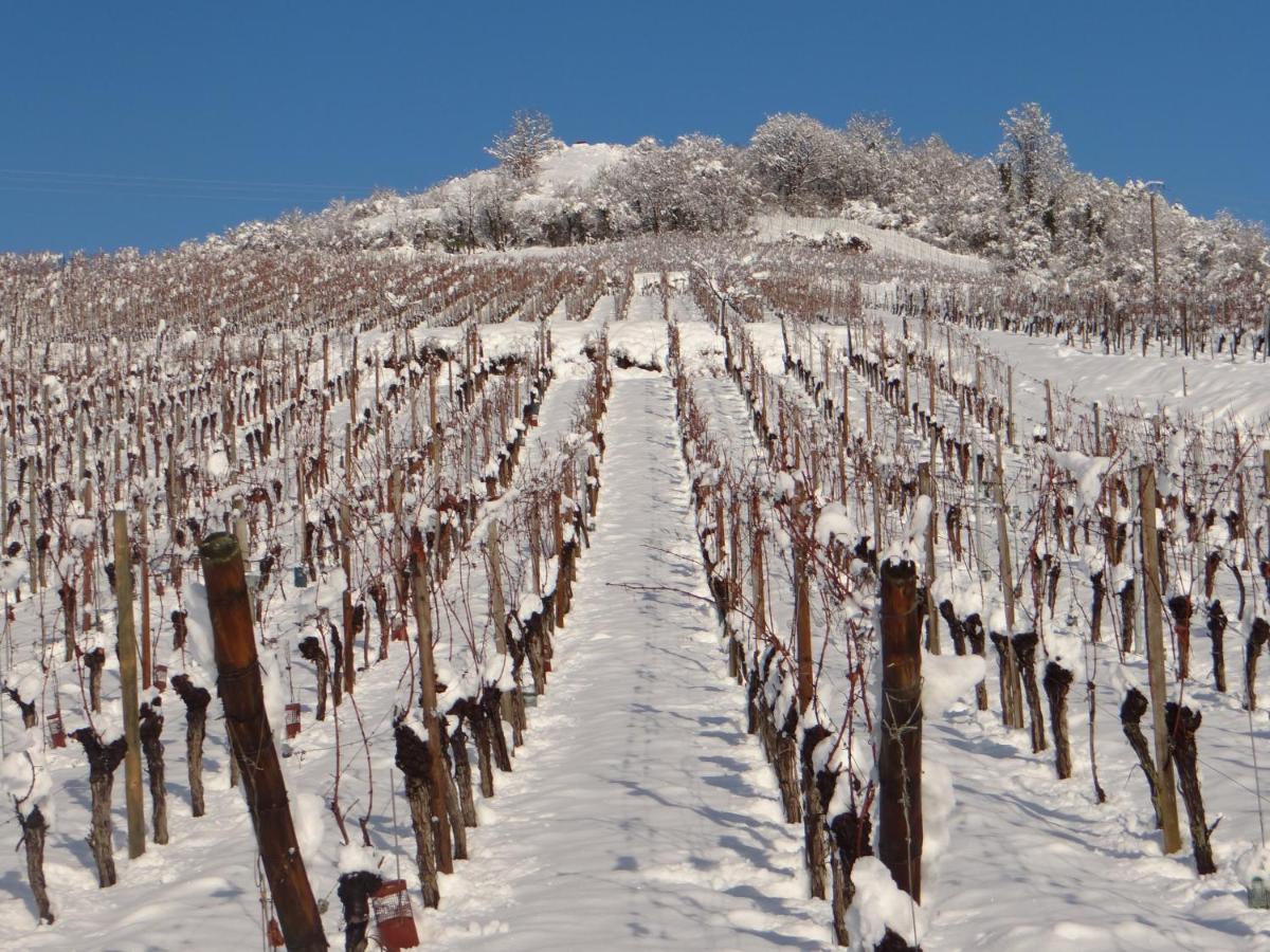 Au Coeur Des Vignes Apartment Bergheim Luaran gambar