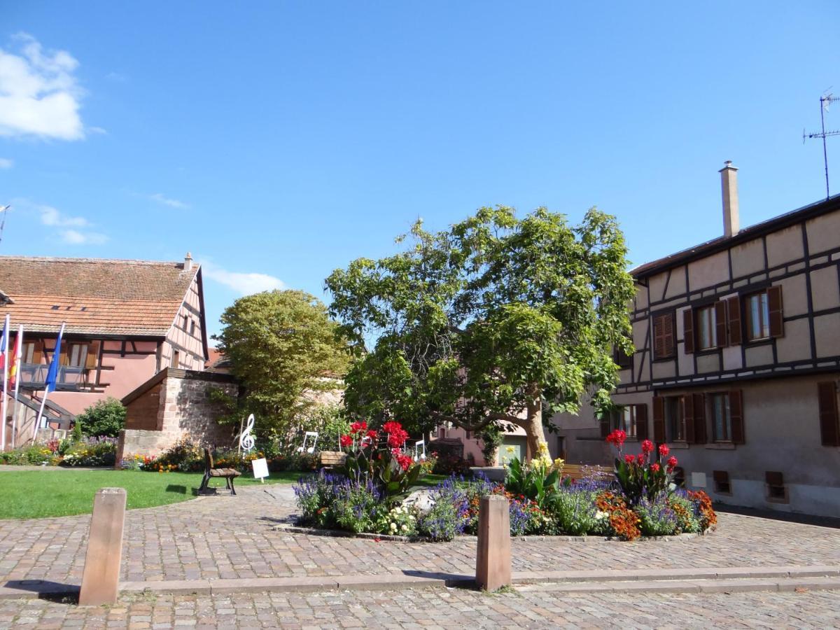 Au Coeur Des Vignes Apartment Bergheim Luaran gambar