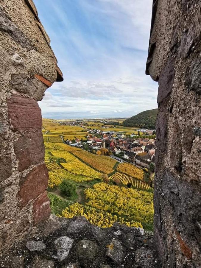 Au Coeur Des Vignes Apartment Bergheim Luaran gambar