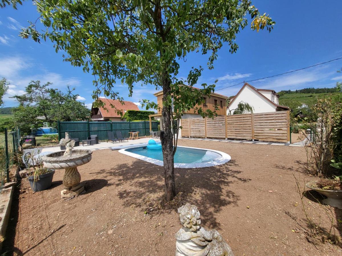 Au Coeur Des Vignes Apartment Bergheim Luaran gambar